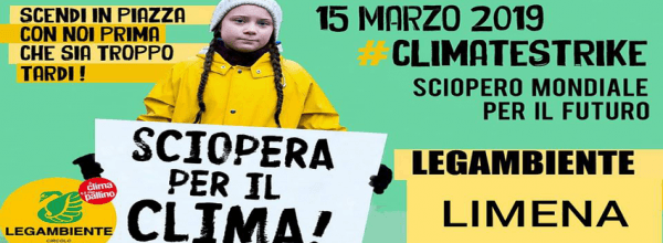 15 marzo Global Climate Strike –  FridaysForFuture